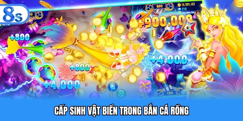 Cấp sinh vật biển trong bắn cá rồng