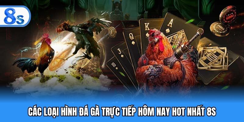 Các loại hình đá gà trực tiếp hôm nay hot nhất 8S