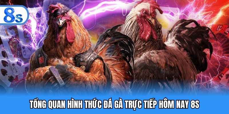 Tổng quan hình thức đá gà trực tiếp hôm nay 8S