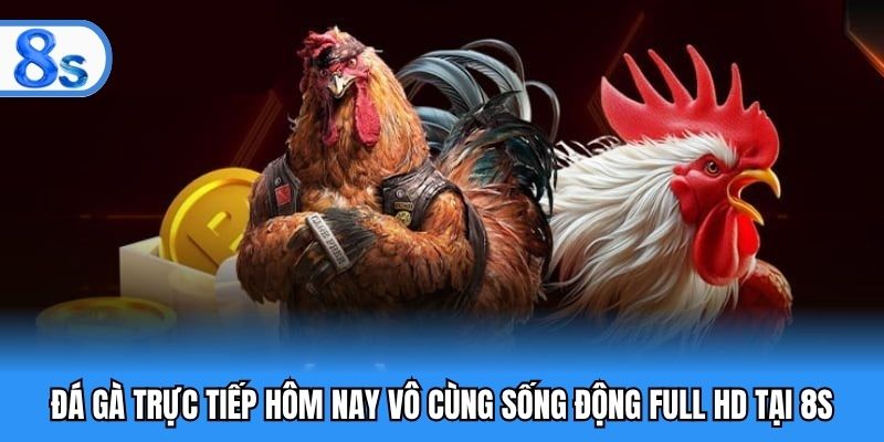 đá gà trực tiếp hôm nay