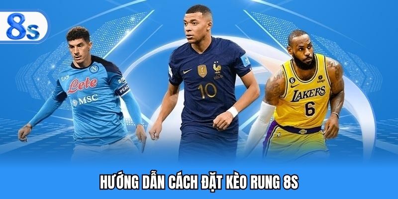 Những bước trải nghiệm đặt cược rung cơ bản cho người mới