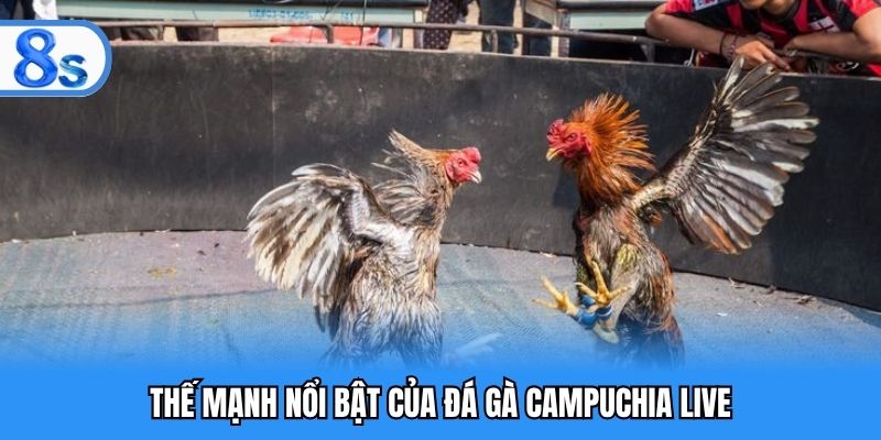 Thế mạnh nổi bật của đá gà Campuchia live