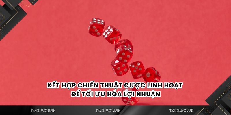 Kết hợp chiến thuật cược linh hoạt để tối ưu hóa lợi nhuận